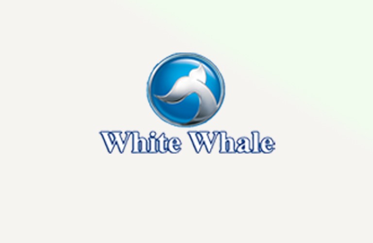 whitewale